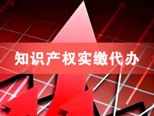 应城知识产权实缴资本代办